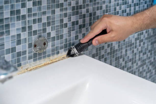 Best Fast Mold Removal  in Taylorsville, NC